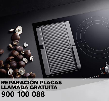 Reparación averías placa de cocción Lynx